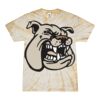 Spider Tie Dye Tees 1001 - Adult & Youth Thumbnail