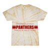 Spider Tie Dye Tees 1001 - Adult & Youth Thumbnail