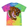 Multi Tie Dye Tees - Adult & Youth Thumbnail