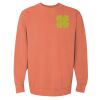 Garment-Dyed Sweatshirt Thumbnail