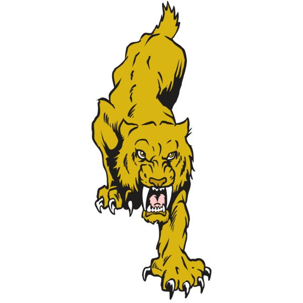 AR30 SABER 08 RQC Thumbnail