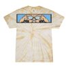 Spider Tie Dye Tees 1001 - Adult & Youth Thumbnail