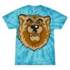Spider Tie Dye Tees 1001 - Adult & Youth Thumbnail