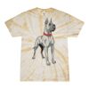 Spider Tie Dye Tees 1001 - Adult & Youth Thumbnail