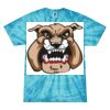 Spider Tie Dye Tees 1001 - Adult & Youth Thumbnail