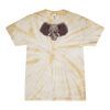 Spider Tie Dye Tees 1001 - Adult & Youth Thumbnail