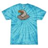 Spider Tie Dye Tees 1001 - Adult & Youth Thumbnail
