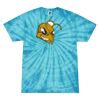 Spider Tie Dye Tees 1001 - Adult & Youth Thumbnail
