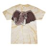Spider Tie Dye Tees 1001 - Adult & Youth Thumbnail