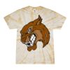 Spider Tie Dye Tees 1001 - Adult & Youth Thumbnail