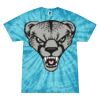 Spider Tie Dye Tees 1001 - Adult & Youth Thumbnail