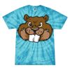 Spider Tie Dye Tees 1001 - Adult & Youth Thumbnail