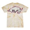 Spider Tie Dye Tees 1001 - Adult & Youth Thumbnail