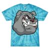 Spider Tie Dye Tees 1001 - Adult & Youth Thumbnail