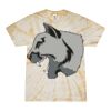 Spider Tie Dye Tees 1001 - Adult & Youth Thumbnail
