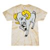 Spider Tie Dye Tees 1001 - Adult & Youth Thumbnail