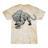 Spider Tie Dye Tees 1001 - Adult & Youth Thumbnail