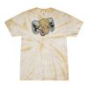 Spider Tie Dye Tees 1001 - Adult & Youth Thumbnail