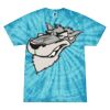 Spider Tie Dye Tees 1001 - Adult & Youth Thumbnail
