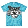 Spider Tie Dye Tees 1001 - Adult & Youth Thumbnail