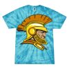 Spider Tie Dye Tees 1001 - Adult & Youth Thumbnail