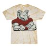Spider Tie Dye Tees 1001 - Adult & Youth Thumbnail