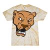 Spider Tie Dye Tees 1001 - Adult & Youth Thumbnail