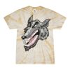Spider Tie Dye Tees 1001 - Adult & Youth Thumbnail