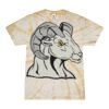 Spider Tie Dye Tees 1001 - Adult & Youth Thumbnail