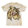 Spider Tie Dye Tees 1001 - Adult & Youth Thumbnail