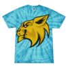 Spider Tie Dye Tees 1001 - Adult & Youth Thumbnail