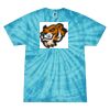 Spider Tie Dye Tees 1001 - Adult & Youth Thumbnail
