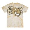 Spider Tie Dye Tees 1001 - Adult & Youth Thumbnail