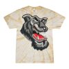 Spider Tie Dye Tees 1001 - Adult & Youth Thumbnail