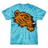 Spider Tie Dye Tees 1001 - Adult & Youth Thumbnail