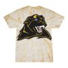 Spider Tie Dye Tees 1001 - Adult & Youth Thumbnail