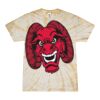 Spider Tie Dye Tees 1001 - Adult & Youth Thumbnail