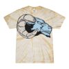 Spider Tie Dye Tees 1001 - Adult & Youth Thumbnail