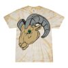 Spider Tie Dye Tees 1001 - Adult & Youth Thumbnail