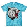 Spider Tie Dye Tees 1001 - Adult & Youth Thumbnail