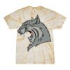 Spider Tie Dye Tees 1001 - Adult & Youth Thumbnail