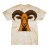 Spider Tie Dye Tees 1001 - Adult & Youth Thumbnail