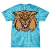Spider Tie Dye Tees 1001 - Adult & Youth Thumbnail