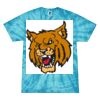 Spider Tie Dye Tees 1001 - Adult & Youth Thumbnail