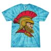 Spider Tie Dye Tees 1001 - Adult & Youth Thumbnail