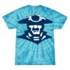 Spider Tie Dye Tees 1001 - Adult & Youth Thumbnail