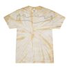 Spider Tie Dye Tees 1001 - Adult & Youth Thumbnail