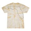 Spider Tie Dye Tees 1001 - Adult & Youth Thumbnail