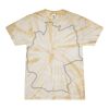 Spider Tie Dye Tees 1001 - Adult & Youth Thumbnail
