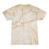 Spider Tie Dye Tees 1001 - Adult & Youth Thumbnail